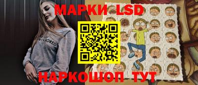 a pvp Новодвинск