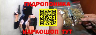 эйфоретик Новокубанск