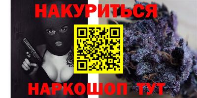 a pvp Новодвинск