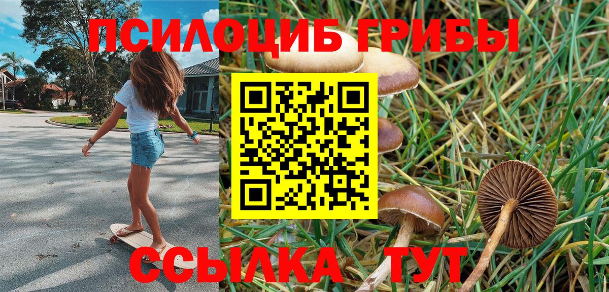 Псилоцибиновые грибы ЛСД Тосно