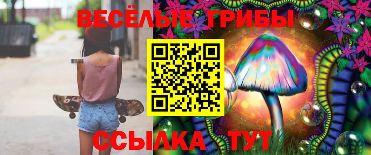 Тосно  Псилоцибиновые грибы мухоморы  Вход с VPN 